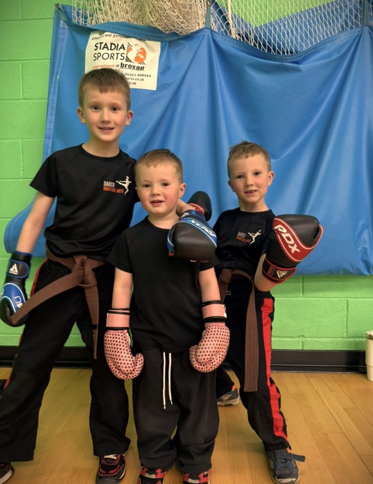 Read more about the article Why Martial Arts is good for children